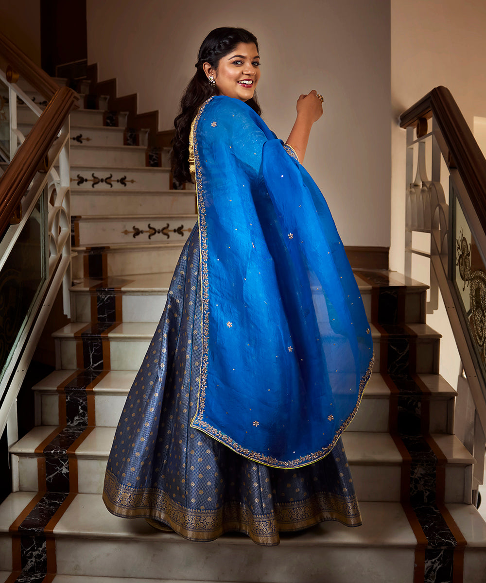 Aparna Balamurali In Blue Handloom Banarasi Lehenga With Blouse And Organza Dupatta - Pre Order