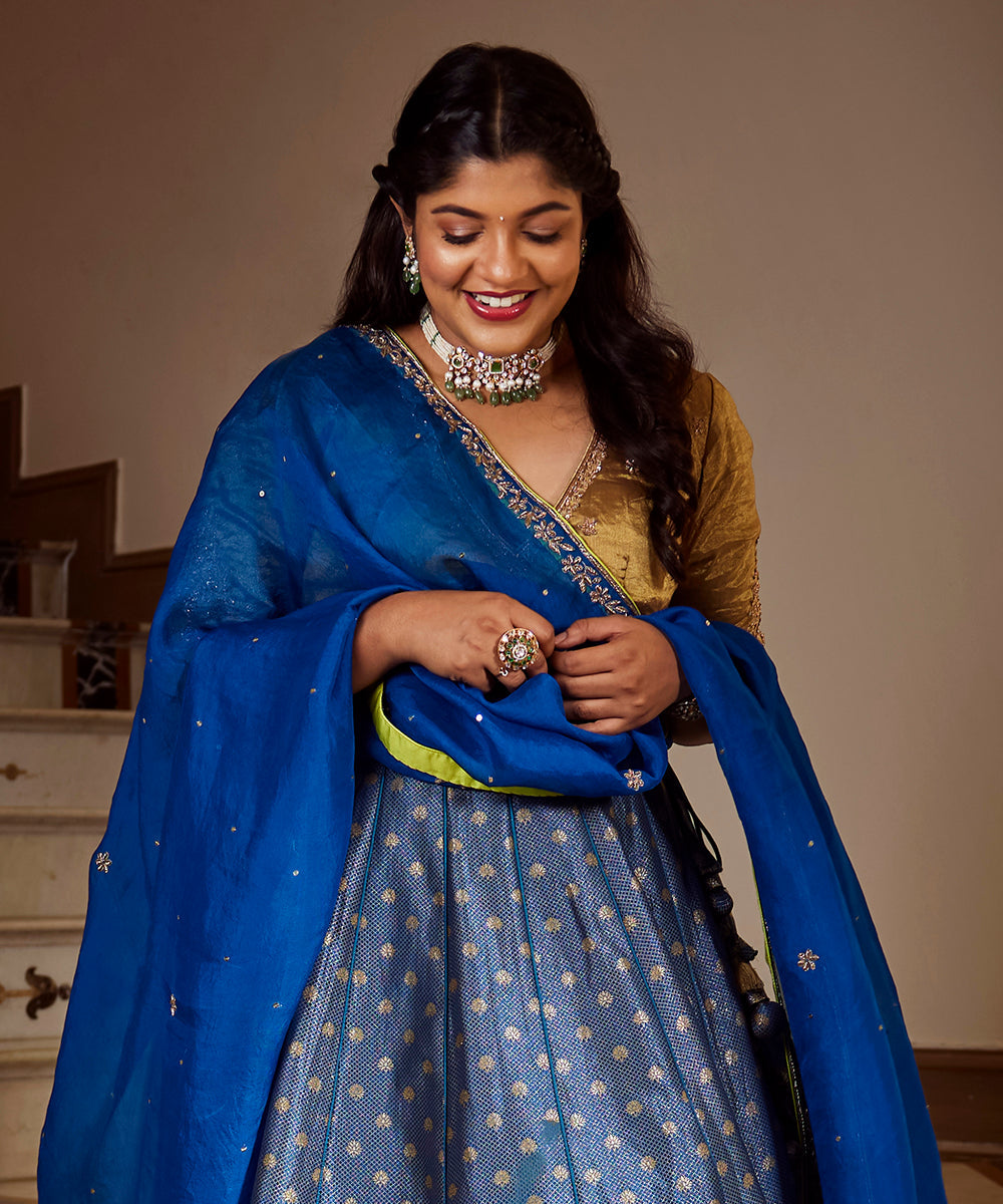 Aparna Balamurali In Blue Handloom Banarasi Lehenga With Blouse And Organza Dupatta - Pre Order