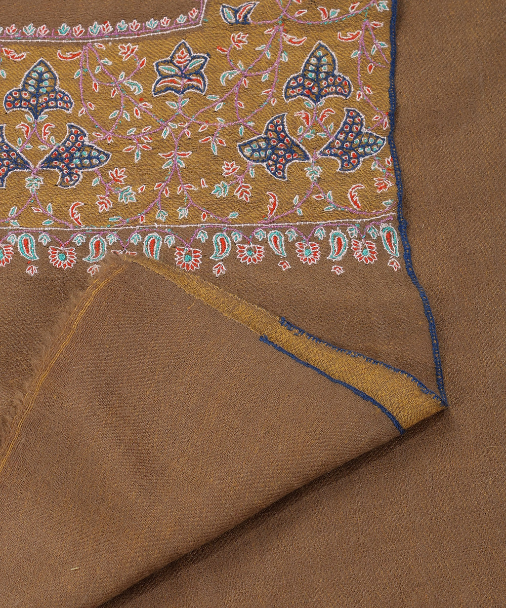 Natural_Toosh_Color_Handwoven_Pure_Pashmina_Shawl_With_Resham_Sozni_Kari_Border_WeaverStory_04