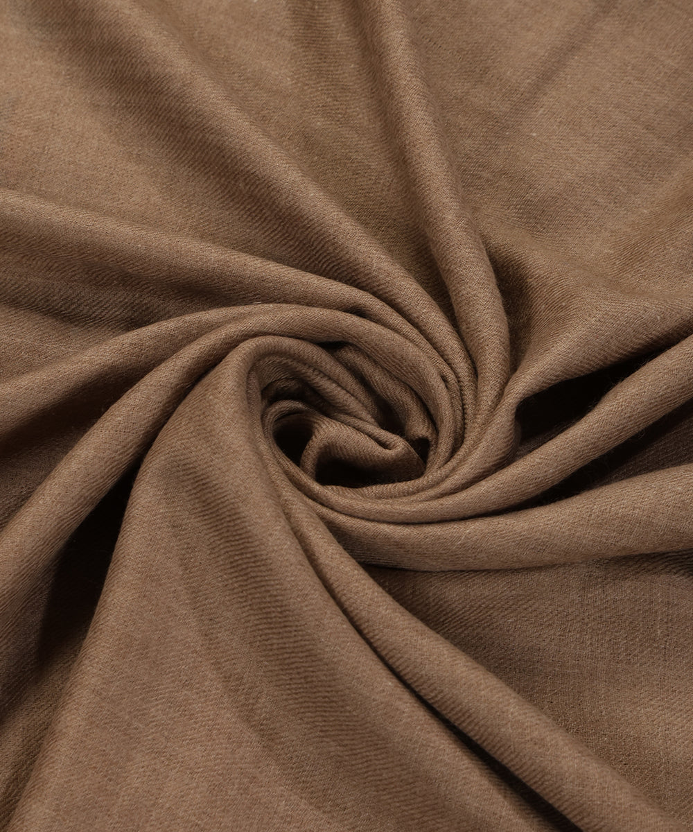 Beige_Handwoven_Pure_Pashmina_Shawl_With_Kani_Palla_WeaverStory_05
