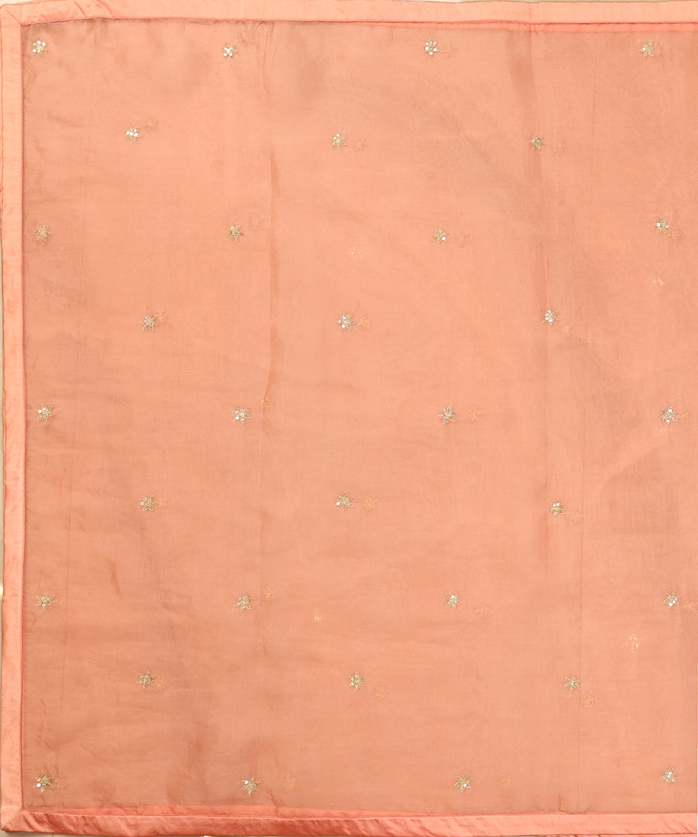 Light_Peach_Handloom_Organza_Dupatta_With_Hand_Embroidered_Booti_WeaverStory_02
