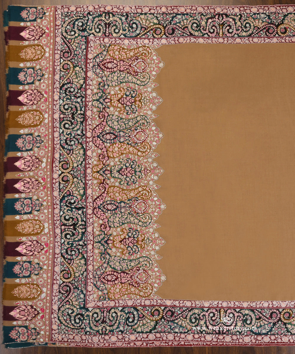 Multicolour_Pure_Pashmina_Shawl_With_Kalamkari_Palla_Border_WeaverStory_03