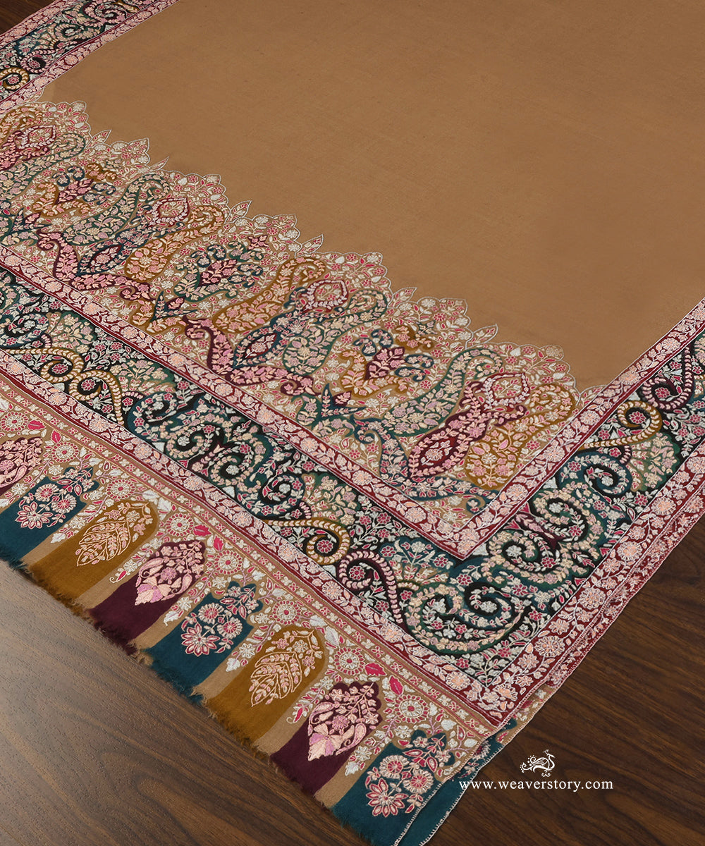 Multicolour_Pure_Pashmina_Shawl_With_Kalamkari_Palla_Border_WeaverStory_04