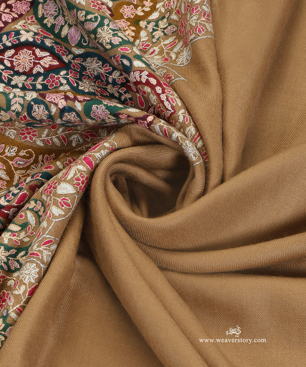 Multicolour_Pure_Pashmina_Shawl_With_Kalamkari_Palla_Border_WeaverStory_06