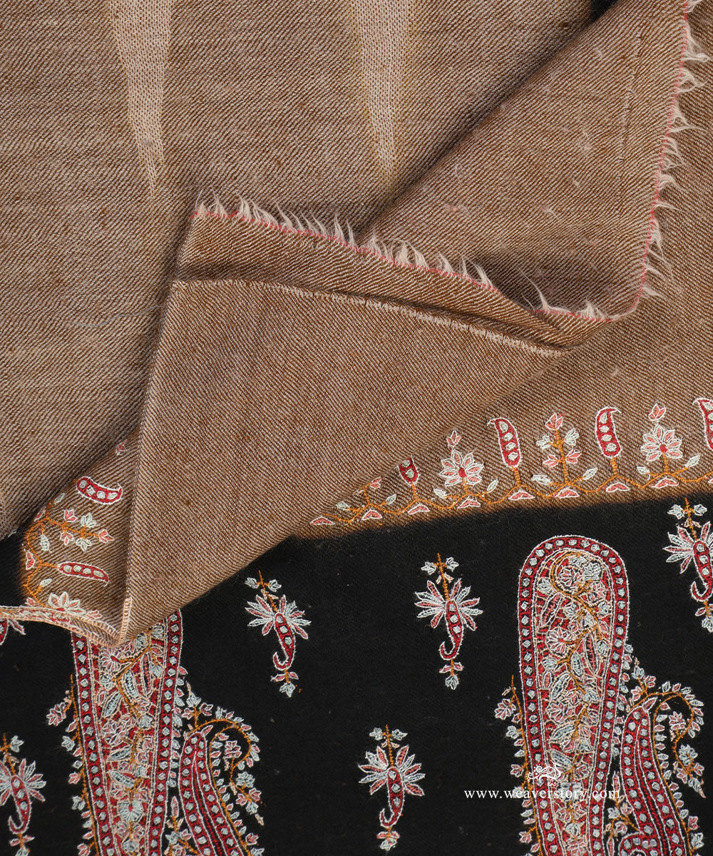 Multicolour_Pure_Pashmina_Shawl_With_Ikkat_Sozini_Border_WeaverStory_05