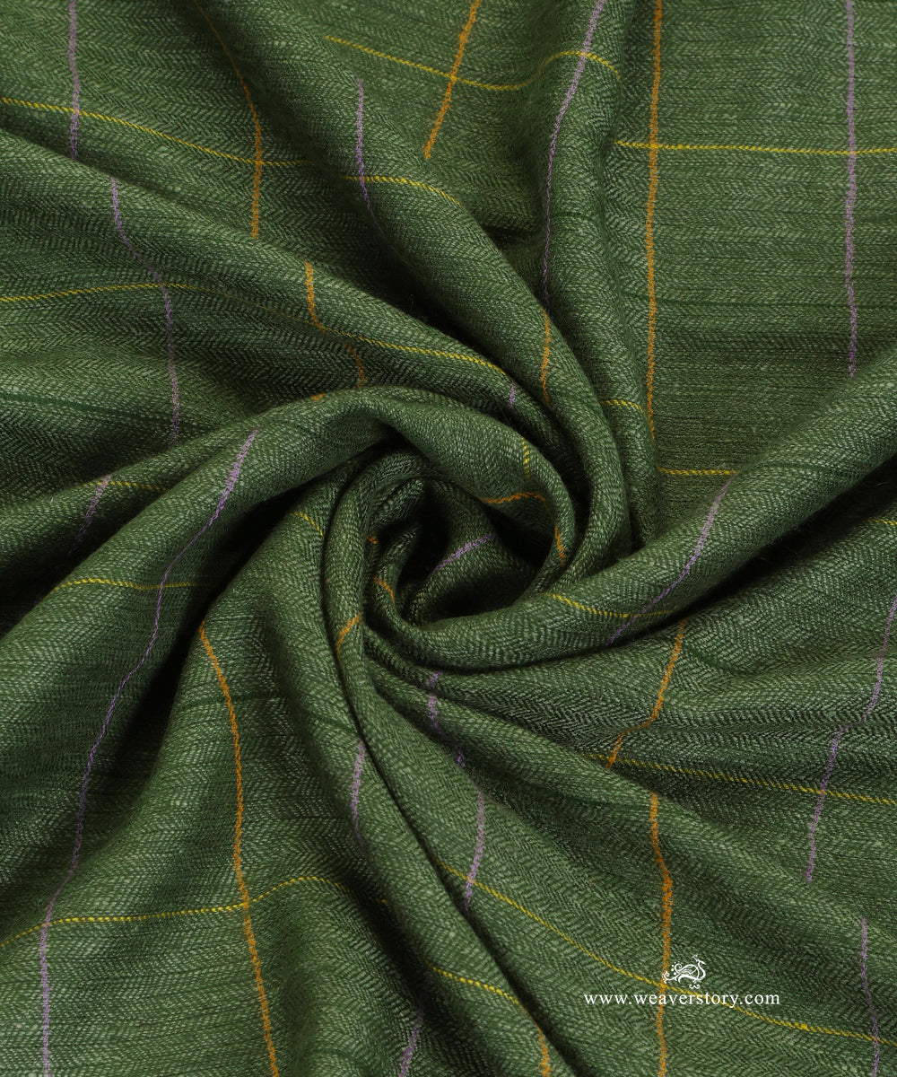 Green_Pure_Pashmina_Shawl_With_Ikat_Weaving_With_Checks_WeaverStory_06