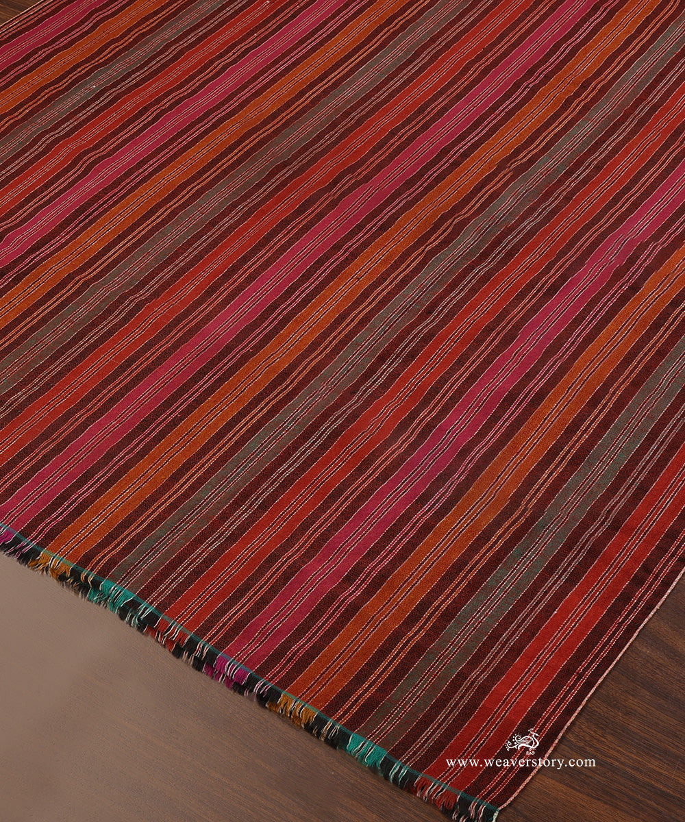 Multicolor_Striped_Pure_Pashmina_Shawl_With_Ikat_Weaving_WeaverStory_04
