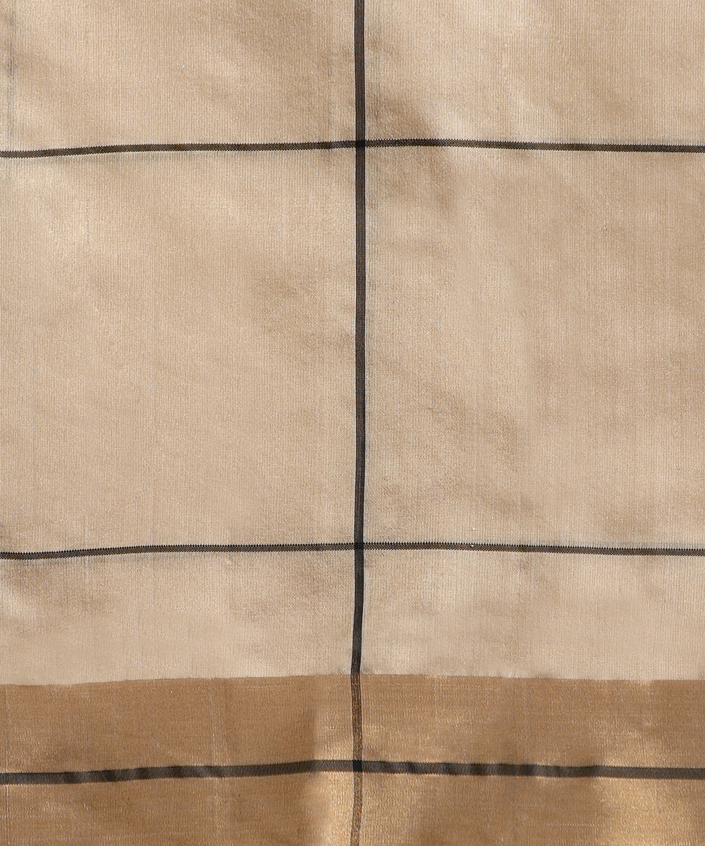Beige_Handloom_Pure_Silk_Chanderi_Saree_With_Black_Checks_And_Zari_Booti_WeaverStory05