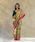 Pink_And_Green_Handloom_Pure_Mulberry_Tissue_Silk_Ikat_Patola_Saree_WeaverStory_01