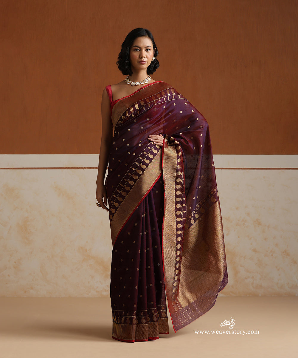Plum_Handloom_Pure_Silk_Chanderi_Saree_With_Gold_Polki_Dots_And_Ambi_Motif_Border_WeaverStory_01