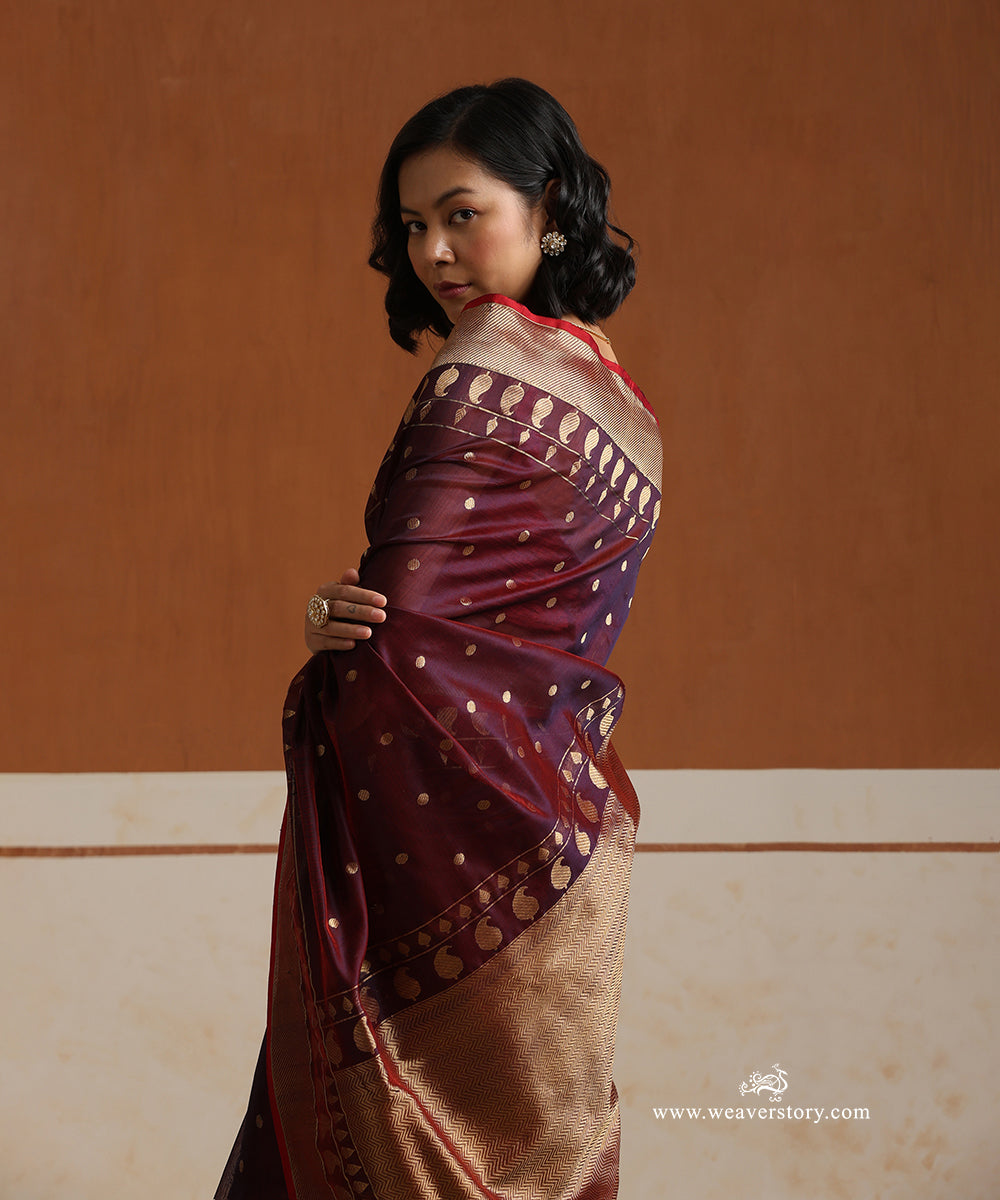 Plum_Handloom_Pure_Silk_Chanderi_Saree_With_Gold_Polki_Dots_And_Ambi_Motif_Border_WeaverStory_02