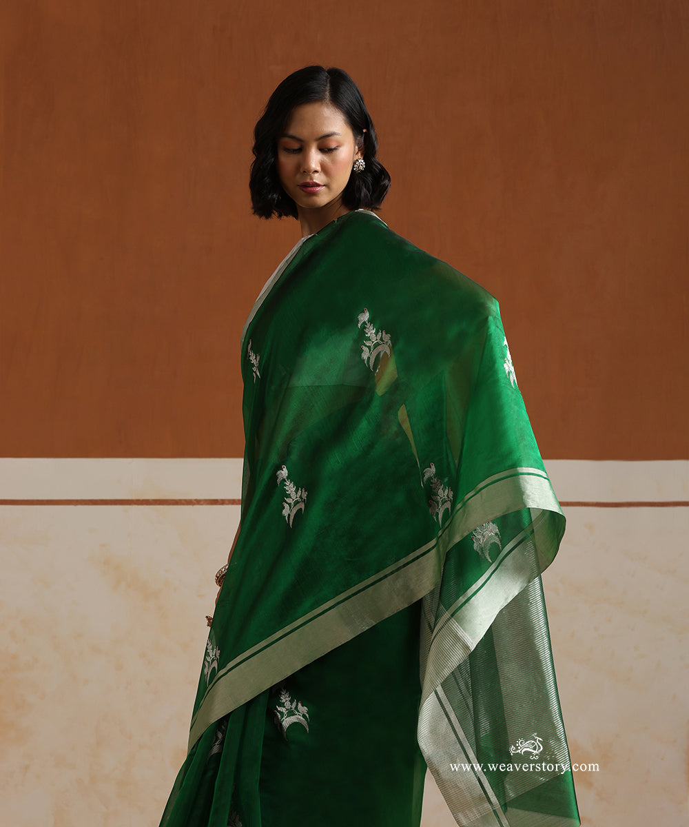 Bottle_Green_Handloom_Pure_Silk_Chanderi_Saree_With_Birds_Motifs_And_Silver_Border_WeaverStory_02