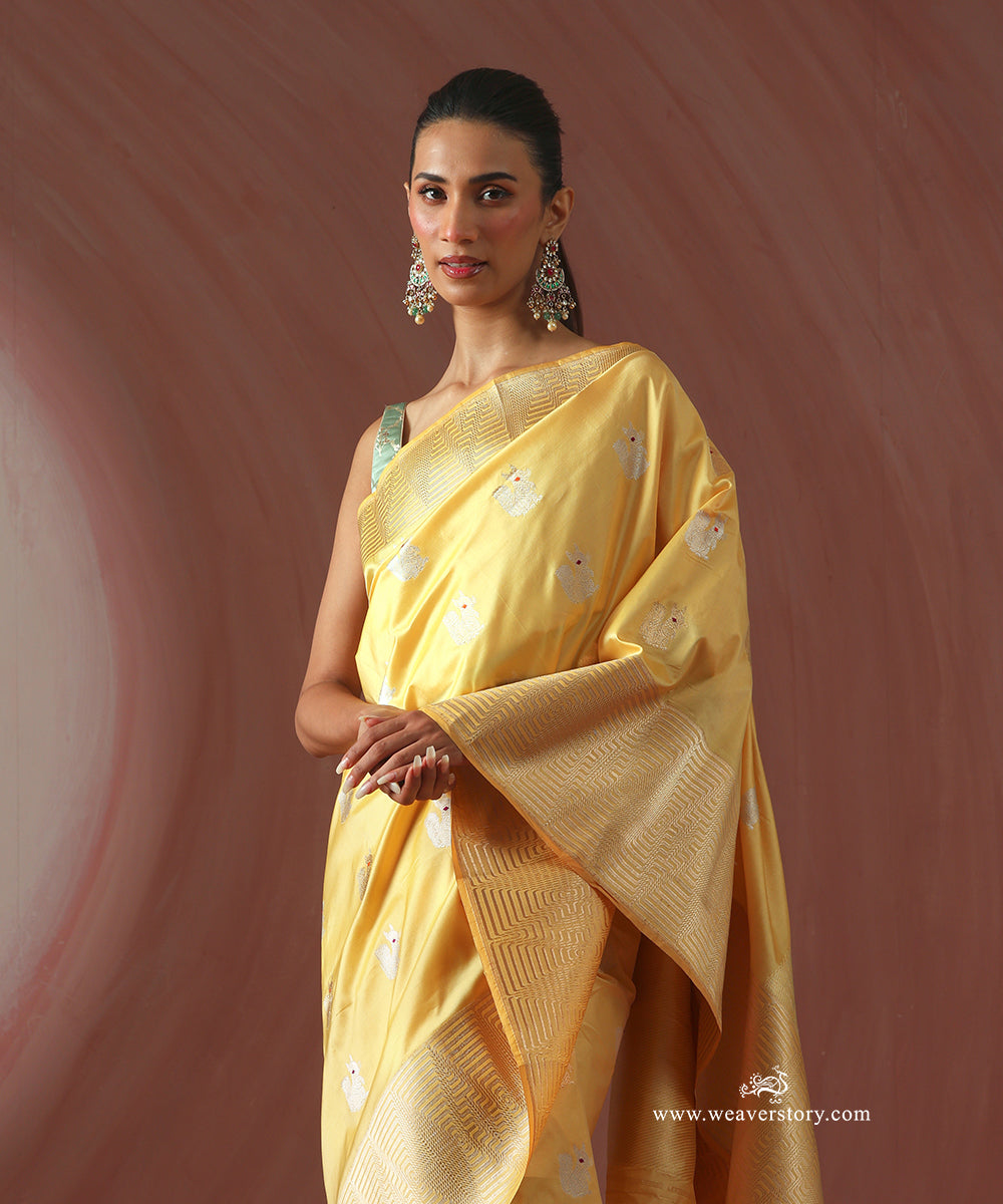 Yellow_Handloom_Pure_Katan_Silk_Banarasi_Kadhwa_Squirrel_Motifs_Saree_With_Wide_Woven_Border_WeaverStory_02