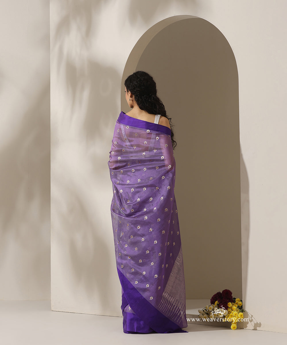 Light_Lavender_Handloom_Pure_Silk_Chanderi_Eknaliya_Saree_With_Red_Meena_Small_Booti_And_Violet_Border_WeaverStory_03
