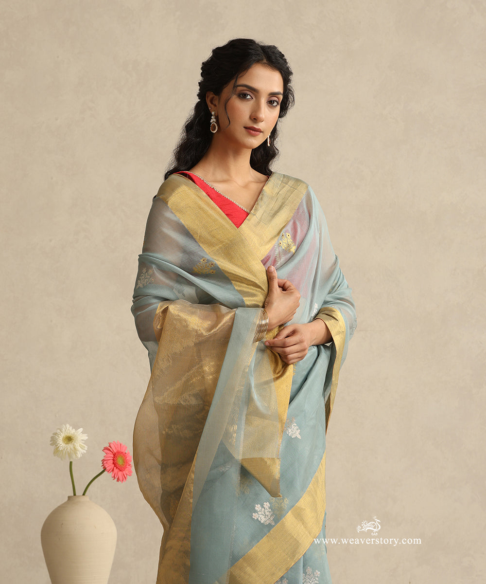 Cement_Grey_Handloom_Cotton_Silk_Eknaliya_Chanderi_Saree_With_Small_Meena_Flower_Booti_And_Golden_Border_WeaverStory_02