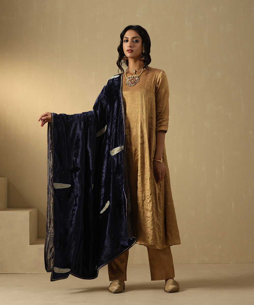 Navy Blue Hand Embroidered Zardozi Silk Velvet Doshala With Chanderi Tissue Border Dupatta