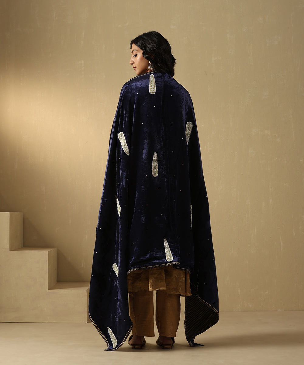 Navy Blue Hand Embroidered Zardozi Silk Velvet Doshala With Chanderi Tissue Border Dupatta