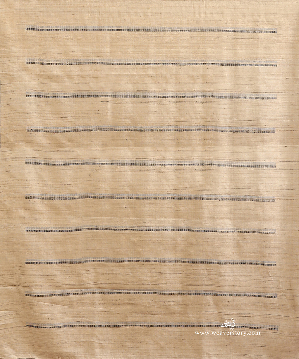 Beige_Handloom_Pure_Tussar_Silk_Saree_With_Grey_And_Black_Lines_WeaverStory_04