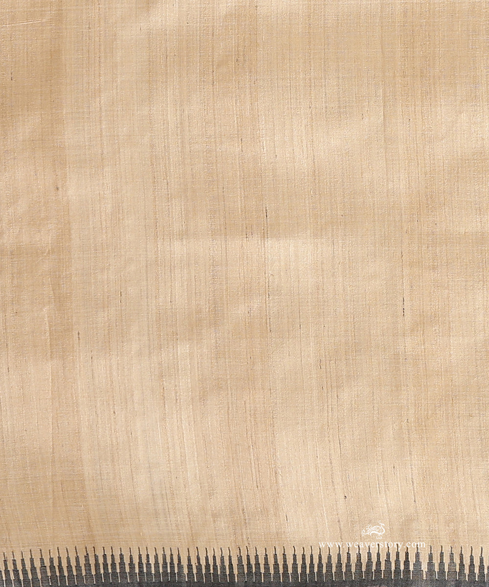 Beige_Handloom_Pure_Tussar_Silk_Saree_With_Grey_And_Black_Lines_WeaverStory_05