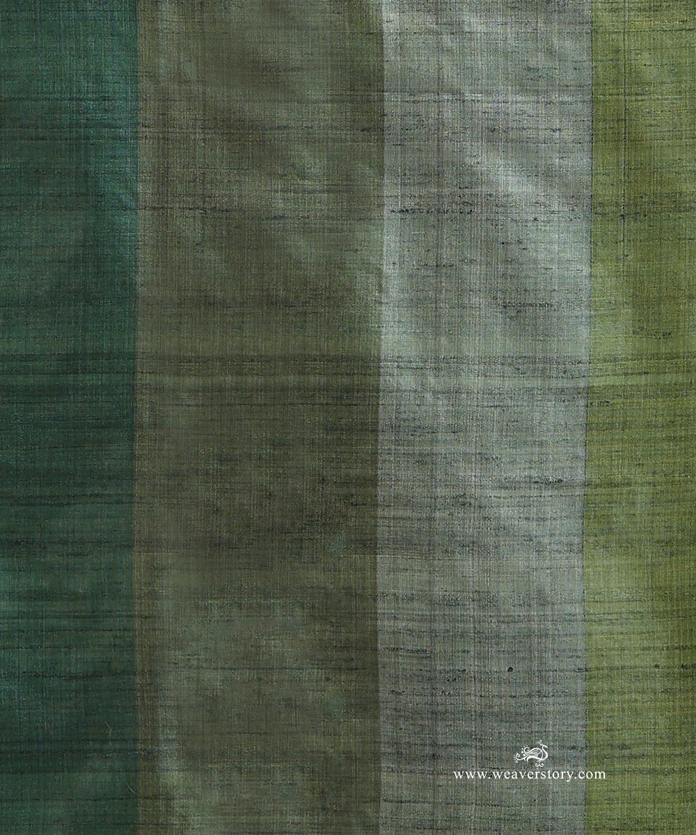 Forest_Fade_Handloom_Pure_Tussar_Silk_Saree_With_Red_Selvedge_WeaverStory_04