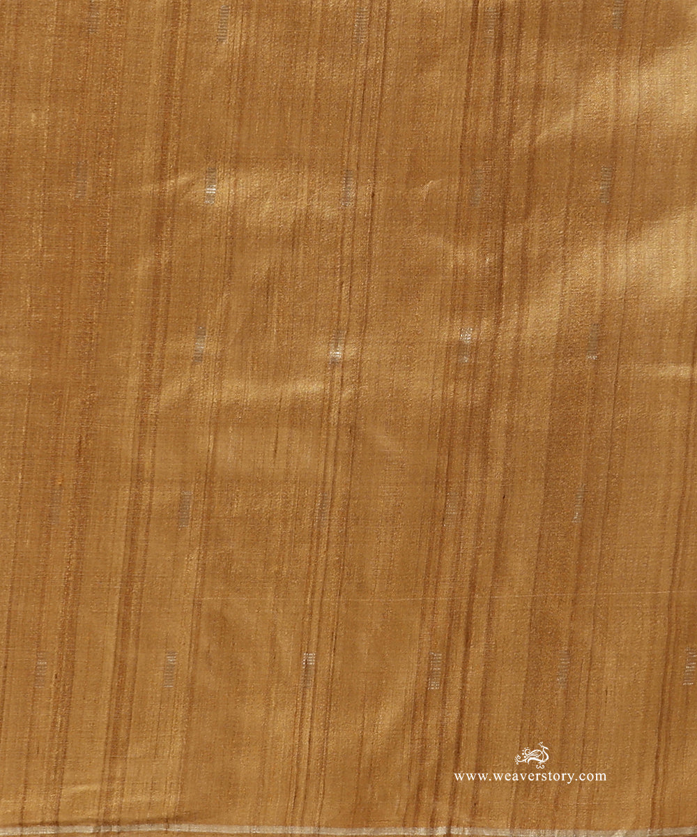 Caramel_Brown_Handloom_Pure_Tussar_Silk_Saree_With_Silver_Lines_WeaverStory_05