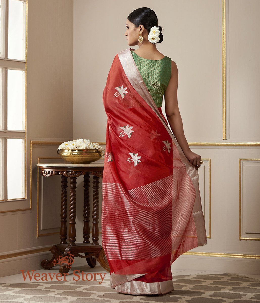Handloom_Brick_Red_Chanderi_Silk_Saree_with_Birds_on_a_Tree_WeaverStory_03