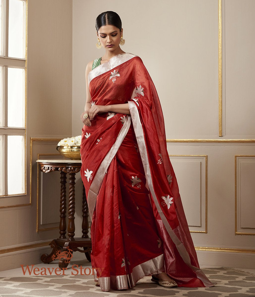 Handloom_Brick_Red_Chanderi_Silk_Saree_with_Birds_on_a_Tree_WeaverStory_02