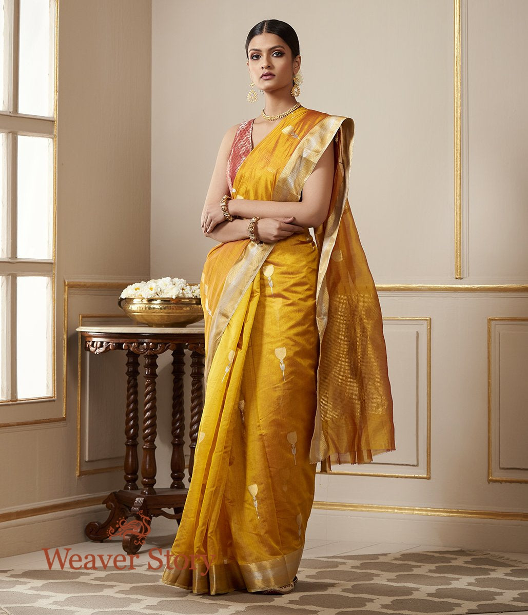 Handwoven_Mustard_Chanderi_Silk_Saree_with_Gold_Zari_Border_WeaverStory_02