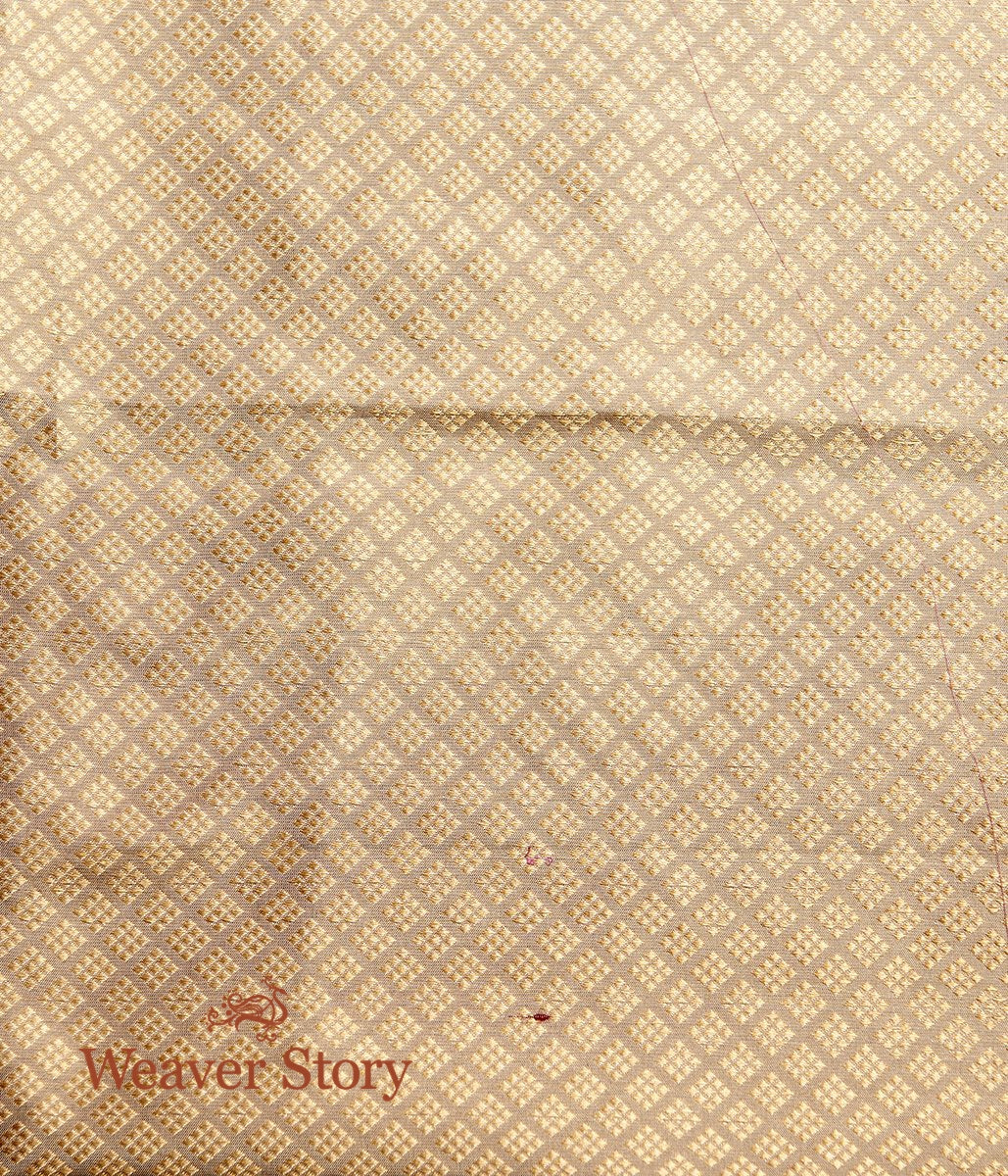 Handwoven_Grey_and_Beige_Dual_Tone_Banarasi_Saree_with_Kadhwa_Booti_and_Blue_Selvedge_WeaverStory_05