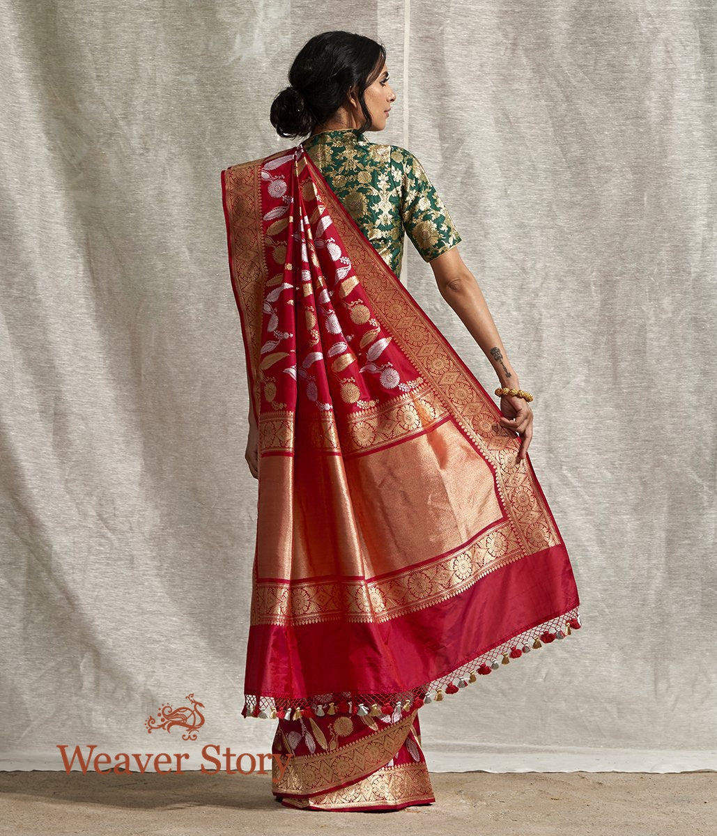 Handwoven_Ruby_Red_Banarasi_Jangla_Saree_WeaverStory_03