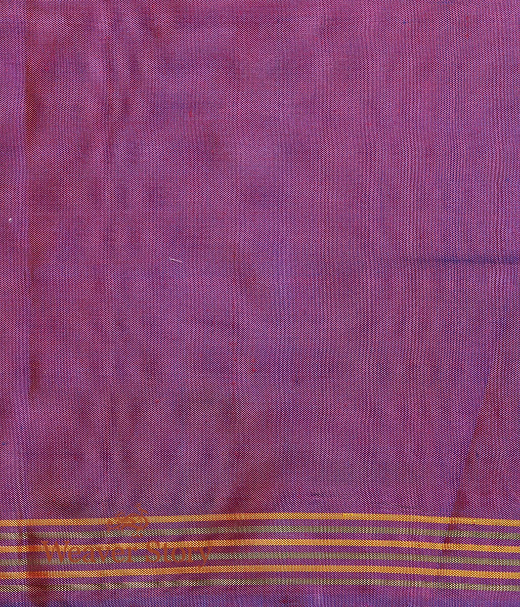 Handwoven_Blue_and_Teal_Dual_Tone_Gujarat_Patola_Saree_with_Purple_Border_WeaverStory_05