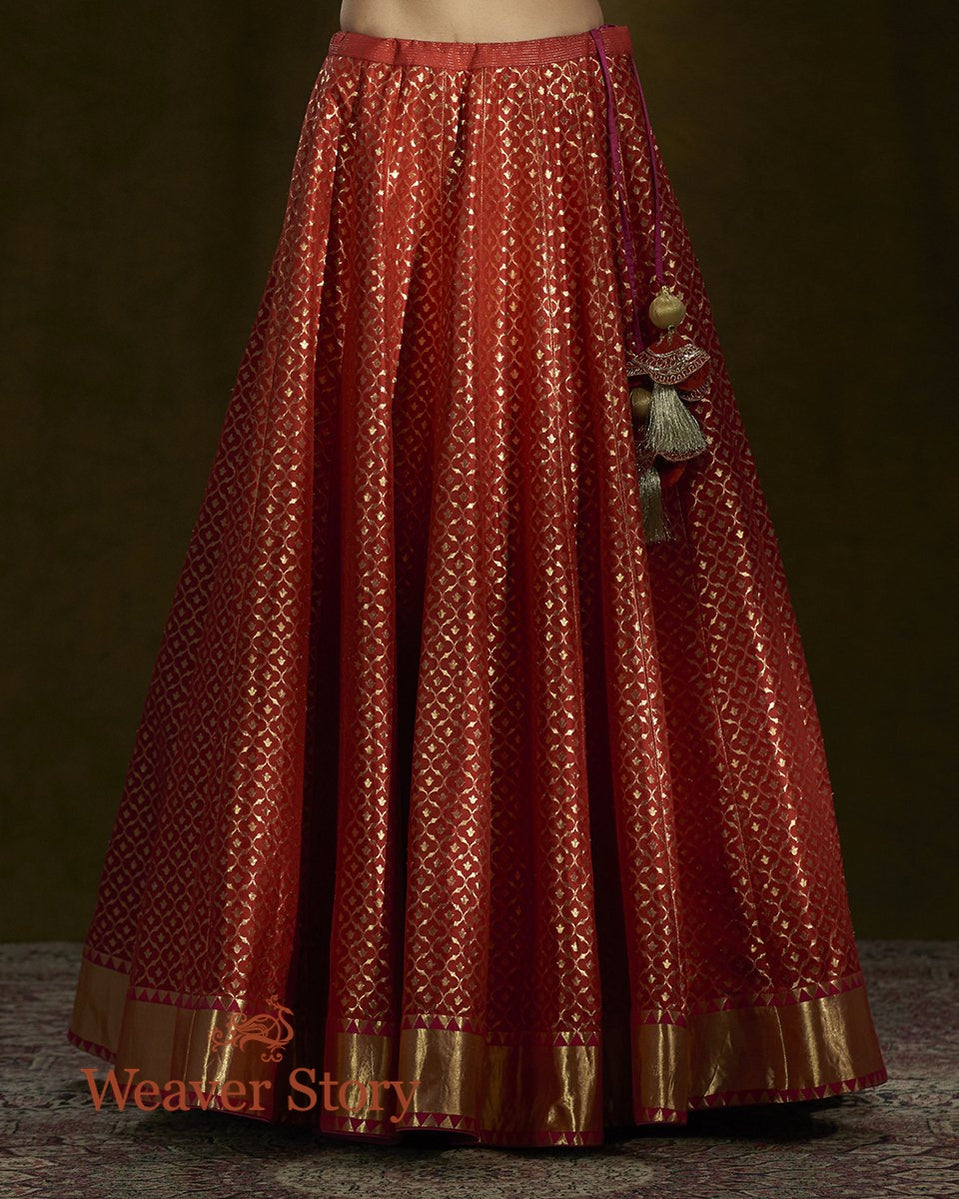 Red_Banarasi_Handloom_Lehenga_with_Gold_Zari_and_Organza_Dupatta_WeaverStory_05