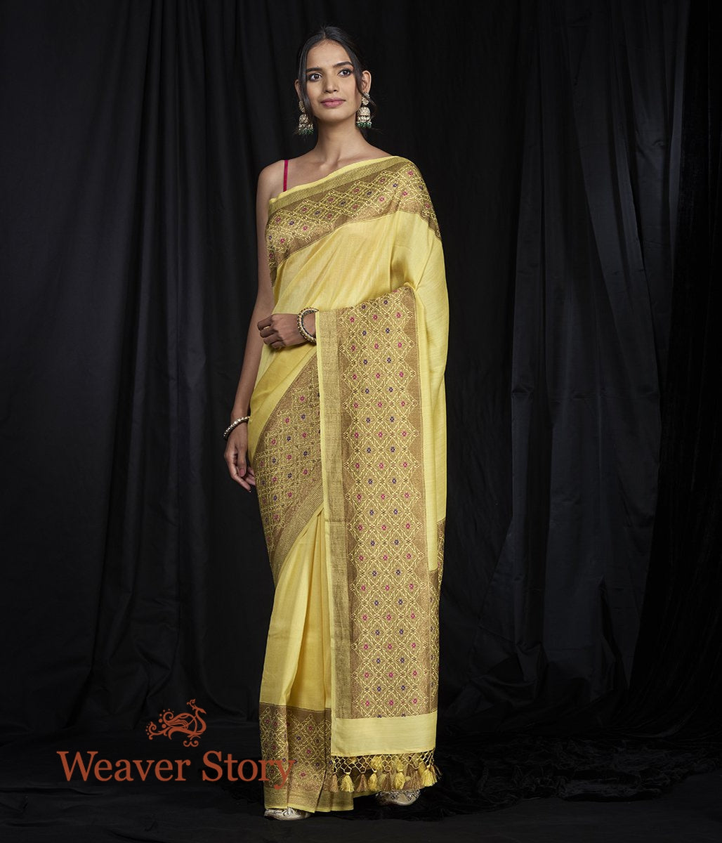 Handwoven_Munga_Silk_Banarasi_Saree_with_Meenakari_Border_WeaverStory_02