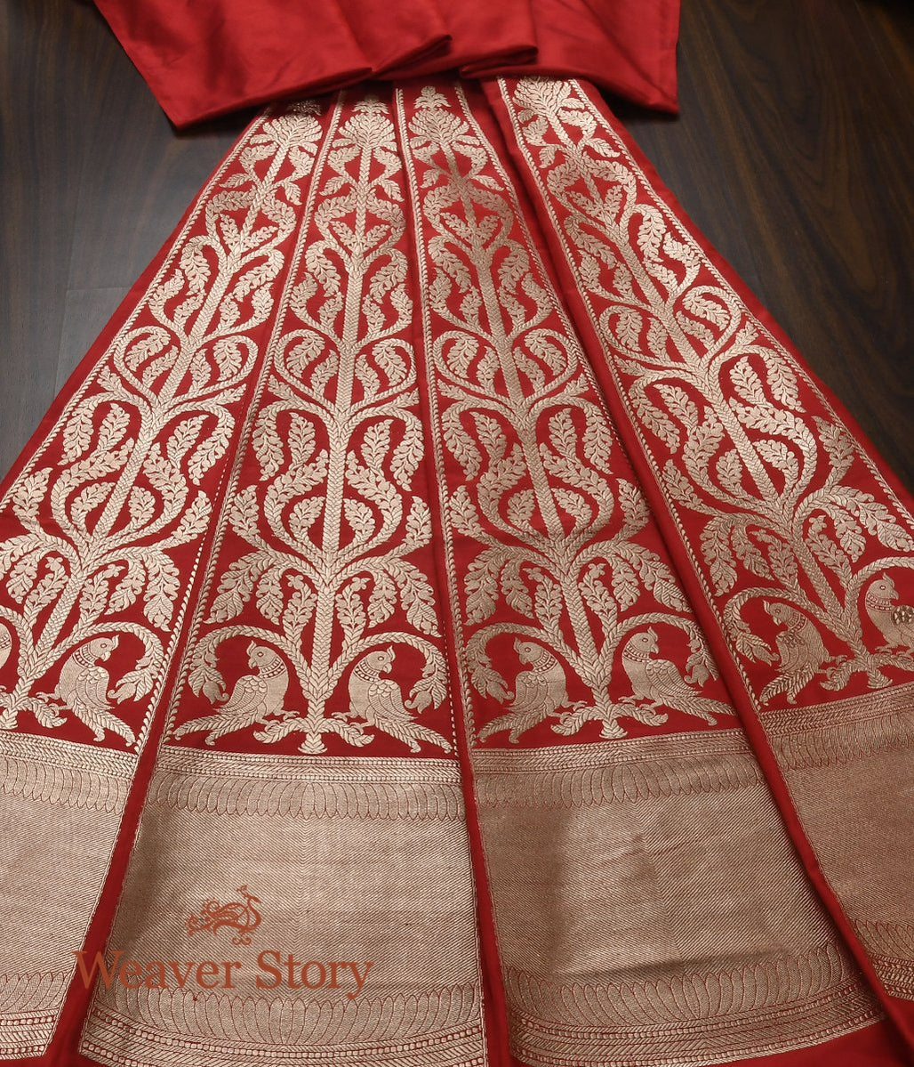 Red_Handloomed_Kadhwa_Banarasi_Silk_Lehenga_with_Parrots_WeaverStory_02