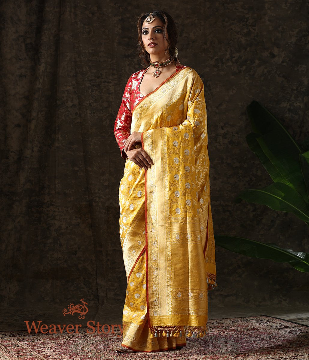 Handwoven_Turmeric_Yellow_Kadhwa_Sona_Rupa_Jangla_Saree_WeaverStory_02