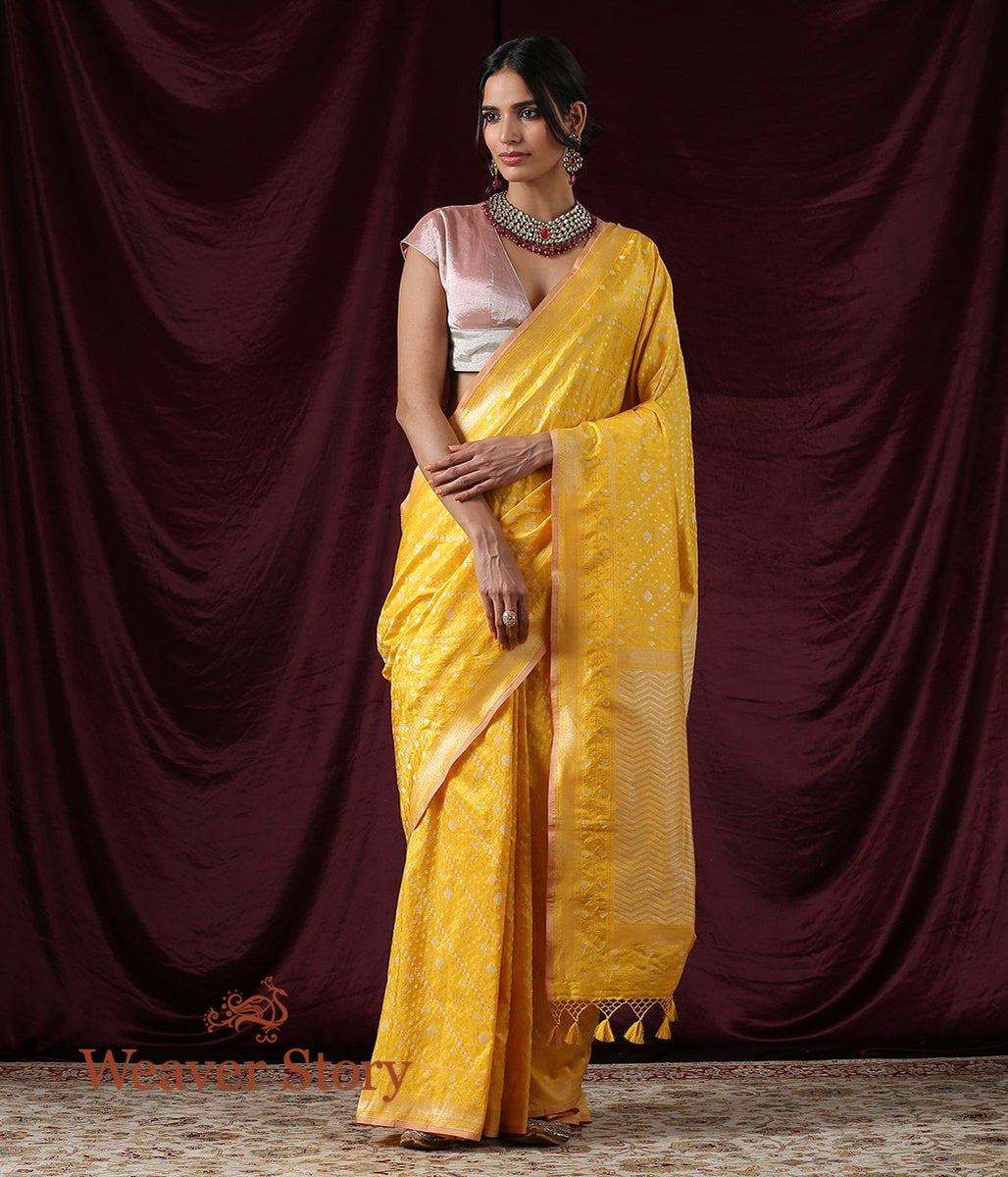 Handwoven_Yellow_Cutwork_Banarasi_Saree_with_Cutwork_Jamdani_Weave_WeaverStory_02