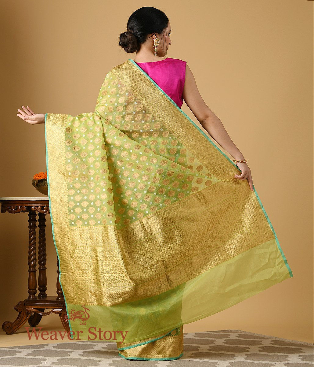 Handloom_Light_Green_Kora_Saree_with_Zari_Booti_WeaverStory_03