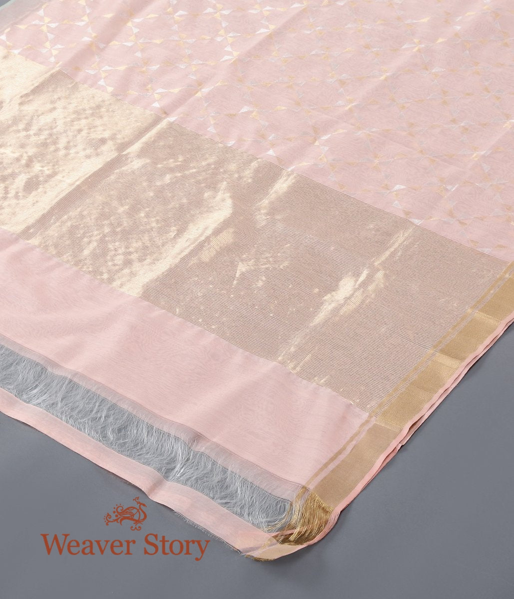 Handloom_Peach_Cotton_Silk_Chanderi_Dupatta_with_Gold_and_Silver_Zari_Jaal_WeaverStory_03