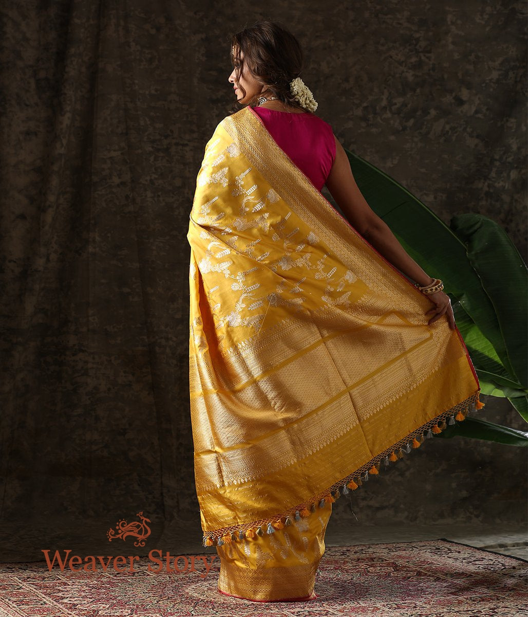 Handwoven_Yellow_Sona_Rupa_Kadhwa_Jangla_Saree_WeaverStory_03