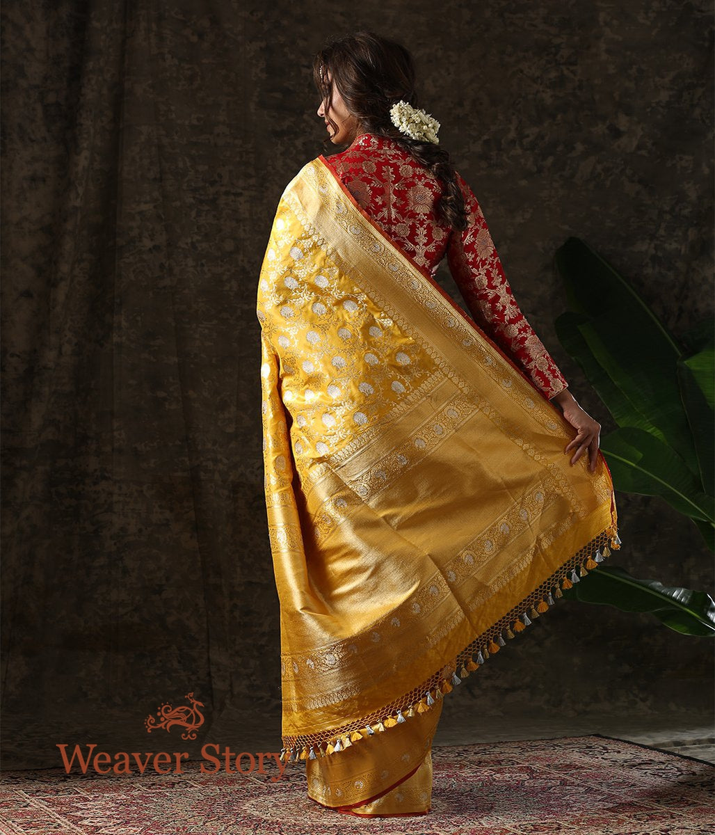 Handwoven_Turmeric_Yellow_Kadhwa_Sona_Rupa_Jangla_Saree_WeaverStory_03