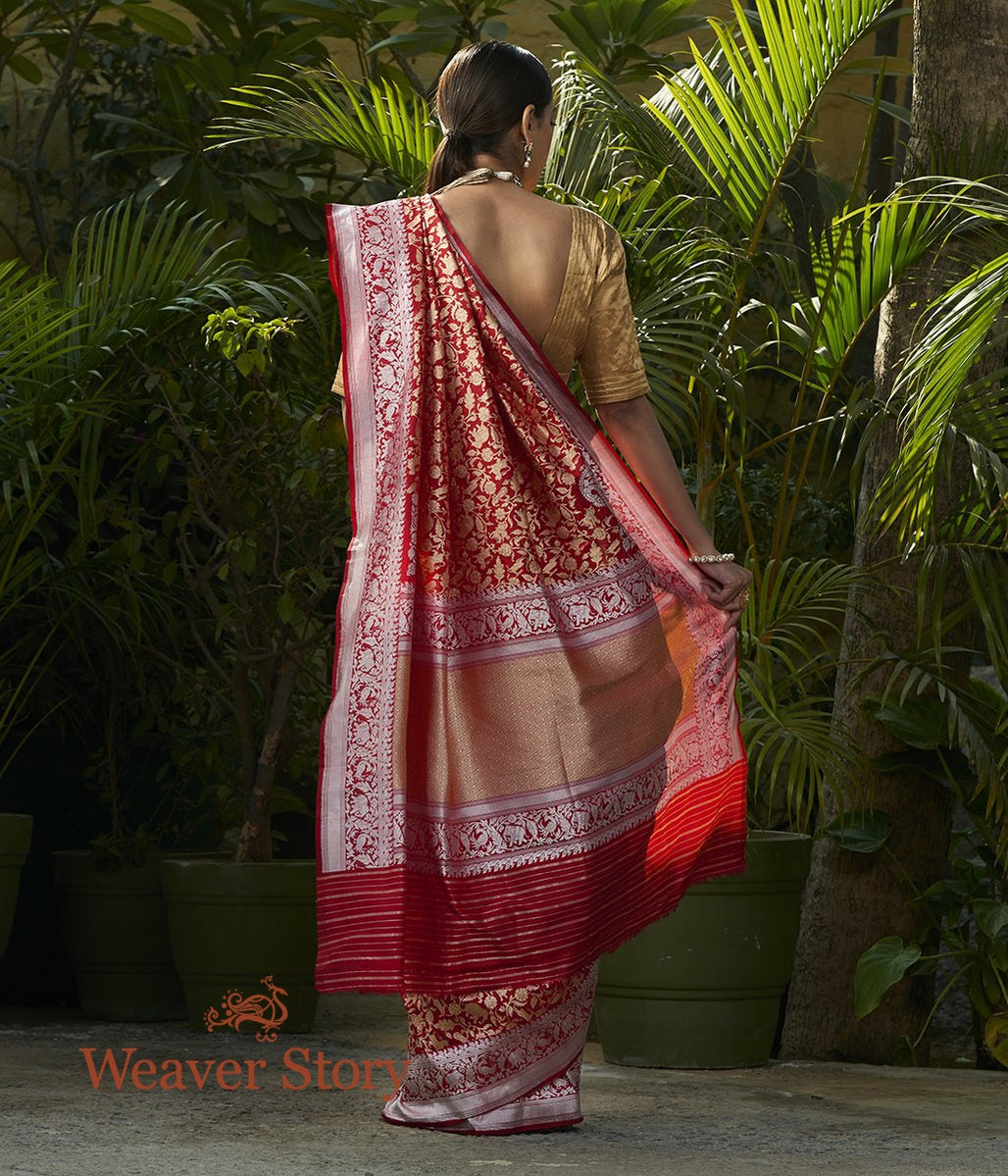 Handwoven_Red_Kadhwa_Shikargah_Saree_with_Silver_Zari_Border_WeaverStory_03