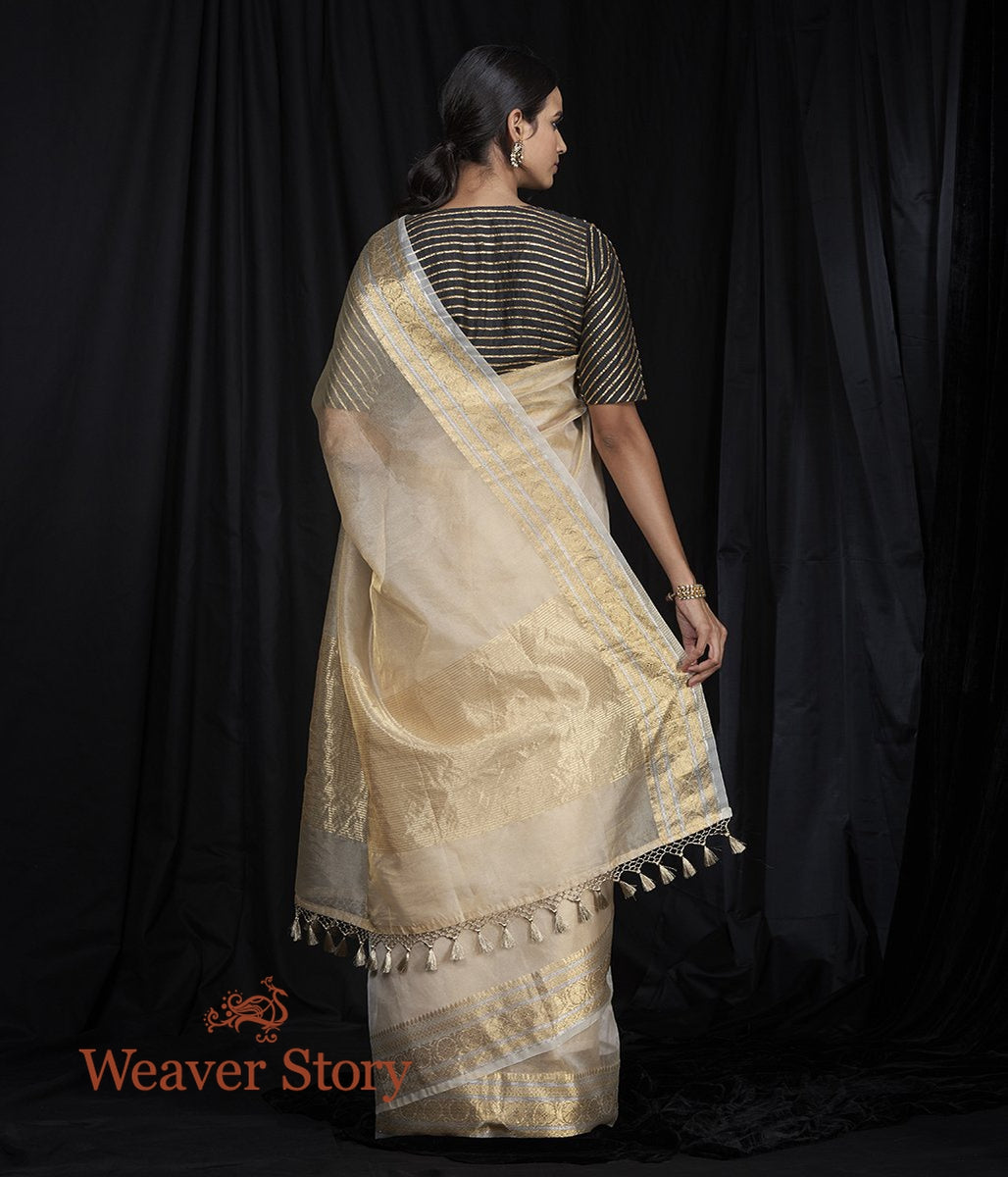 Handwoven_Plain_Gold_Organza_Tissue_Saree_WeaverStory_03
