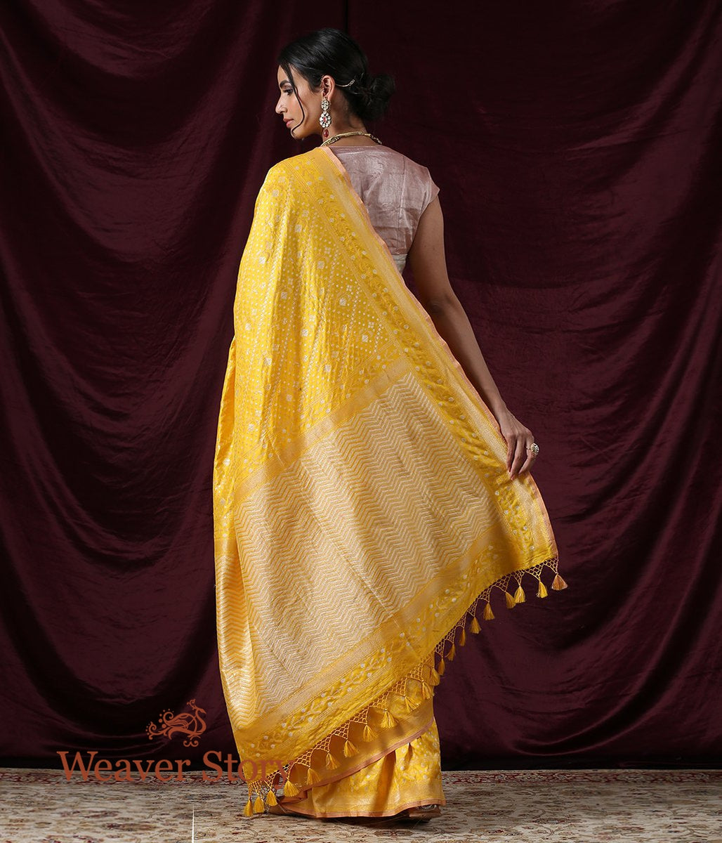 Handwoven_Yellow_Cutwork_Banarasi_Saree_with_Cutwork_Jamdani_Weave_WeaverStory_03