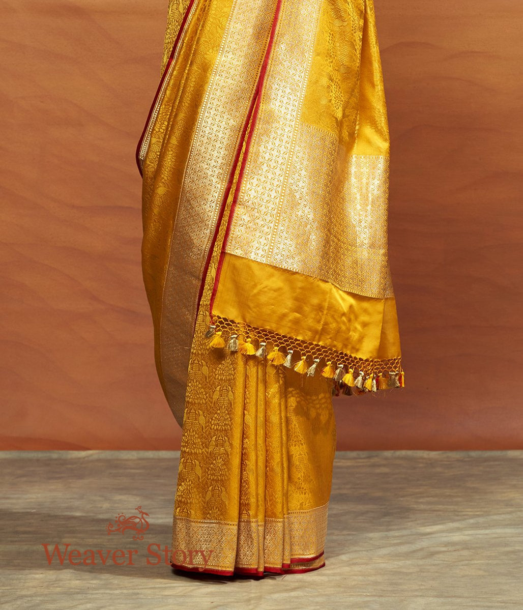 Handwoven_Yellow_Tanchoi_Banarasi_Saree_with_Bird_Motifs_WeaverStory_04