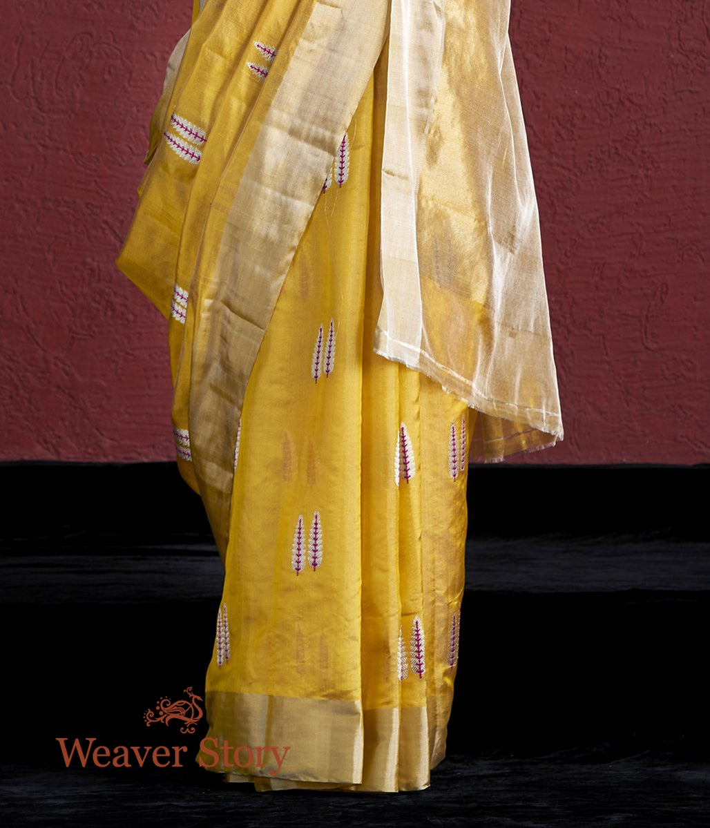 Handloom_Mustard_Chanderi_Tissue_Saree_with_Twin_Leaf_Motifs_WeaverStory_04