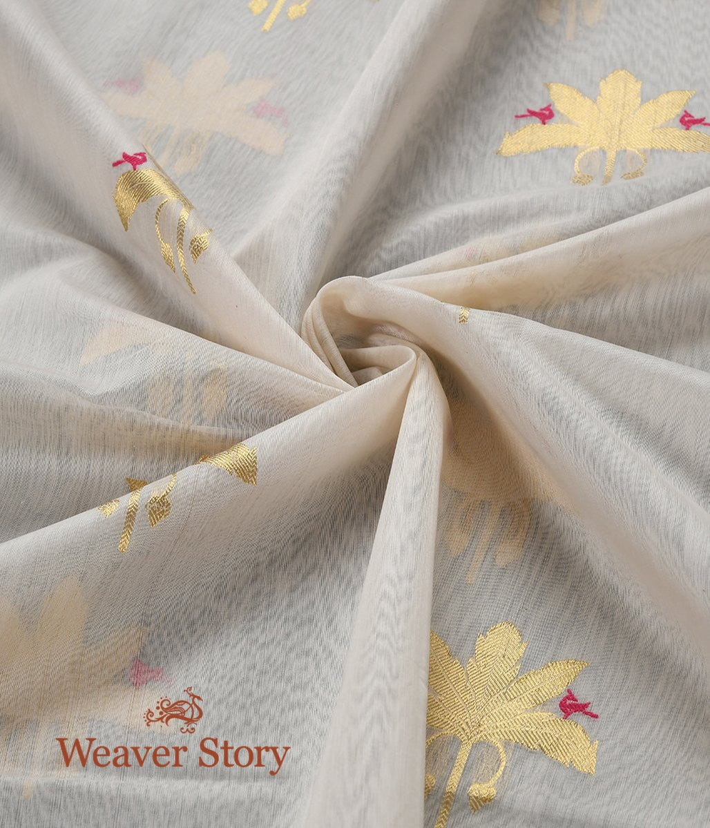 Handloom_Offwhite_Cotton_Silk_Chanderi_Dupatta_with_Gold_Leaf_Motif_WeaverStory_05