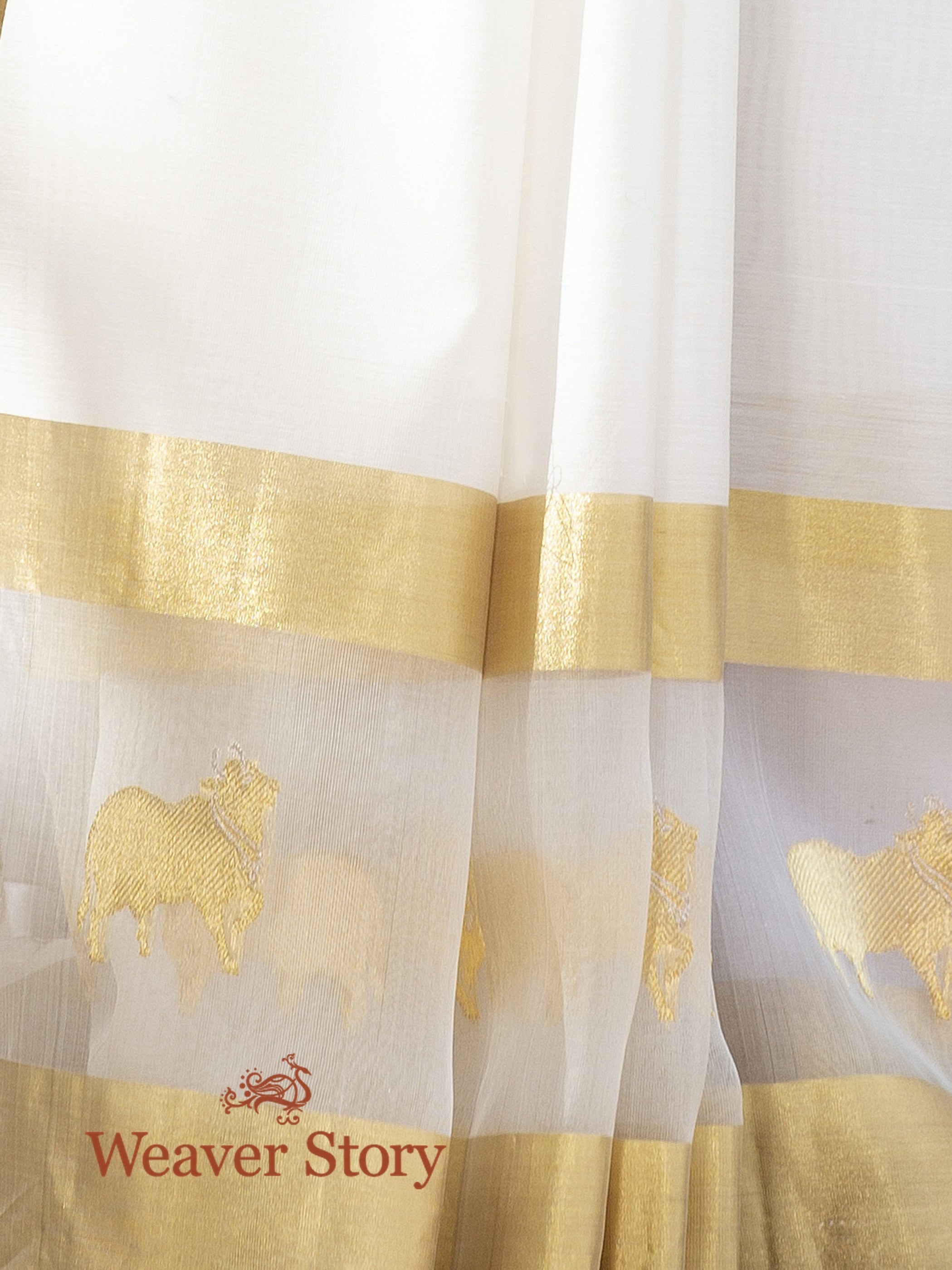 Handwoven_White_Mercerised_Cotton_Chanderi_Saree_with_Zari_Motifs_WeaverStory_05