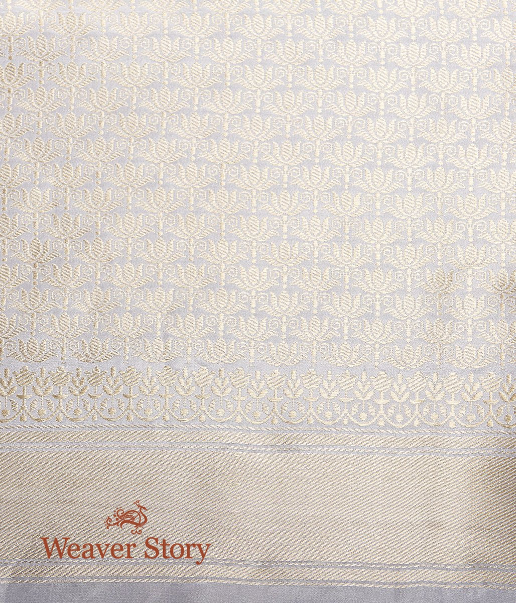 Handwoven_Tissue_Silk_Saree_with_Small_Booti_with_Meenakari_Border_WeaverStory_05