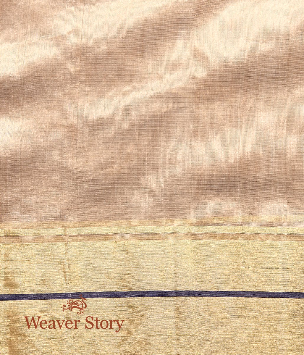 Handwoven_Light_Brown_Silk_Chanderi_Saree_with_Floral_Booti_and_Blue_Meenakari_WeaverStory_05
