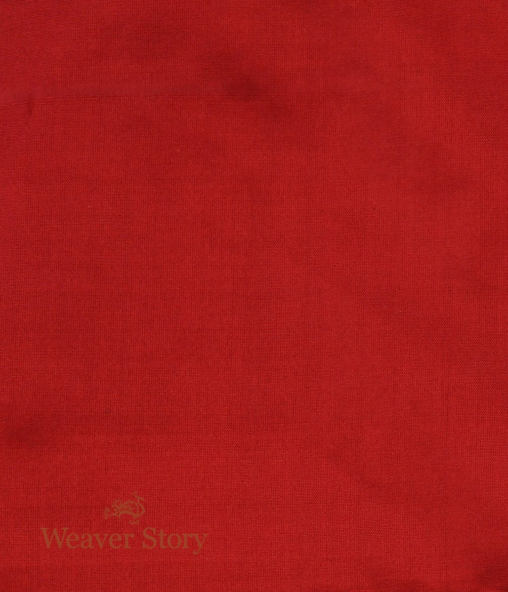 Red_Handloomed_Kadhwa_Banarasi_Silk_Lehenga_with_Parrots_WeaverStory_07